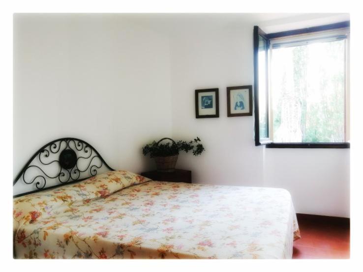 Villa La Rucchetta Альгеро Экстерьер фото